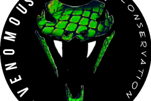 Jdvenomousreptiles