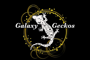 Galaxy Geckos Za