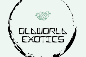 Oldworld Exotics