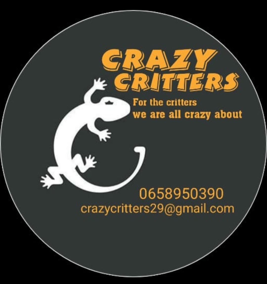 CrazyCritters logo