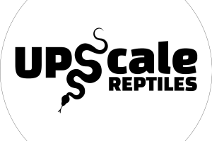 Upscale Reptiles