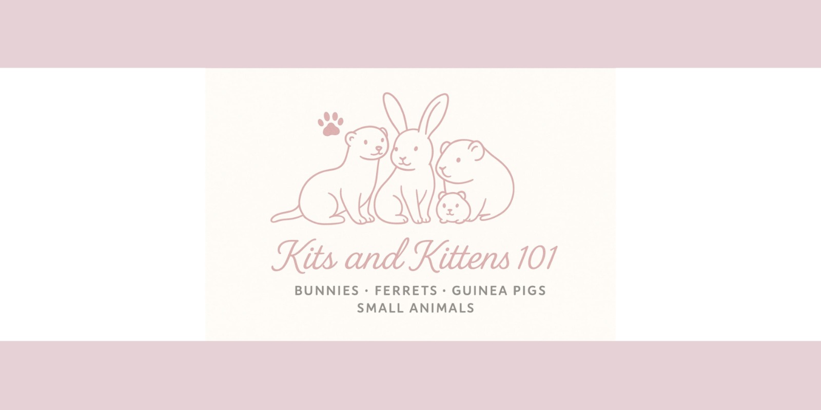 Kits and Kittens 101 cover image