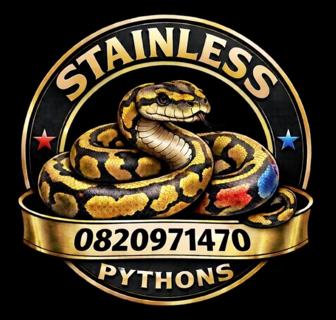 Stainless Pythons