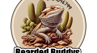 Bearded Buddys
