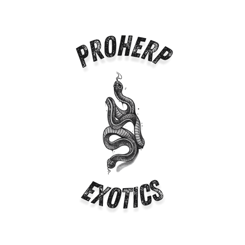 ProHerp Exotics logo