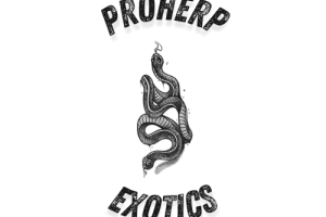 ProHerp Exotics
