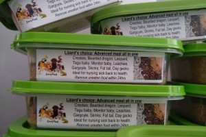 Easy Feed Lizard's Choice Porridge 100g