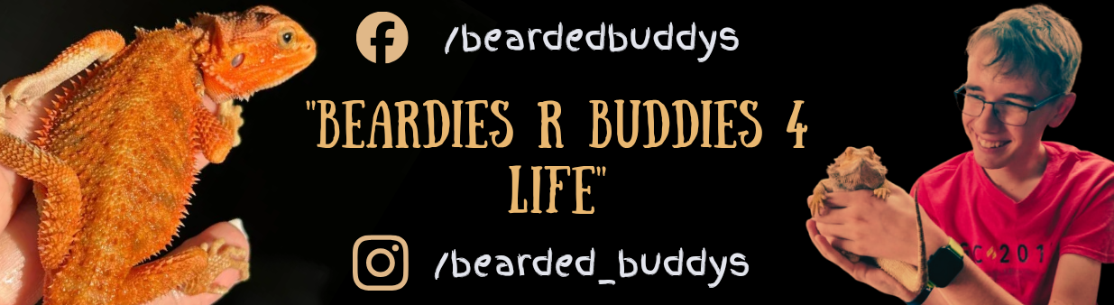 Bearded Buddys cover