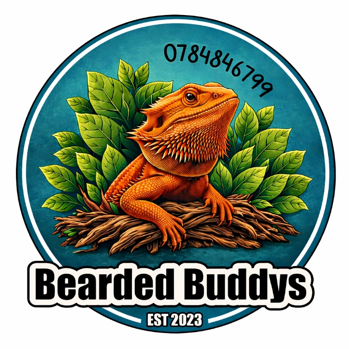 Bearded Buddys