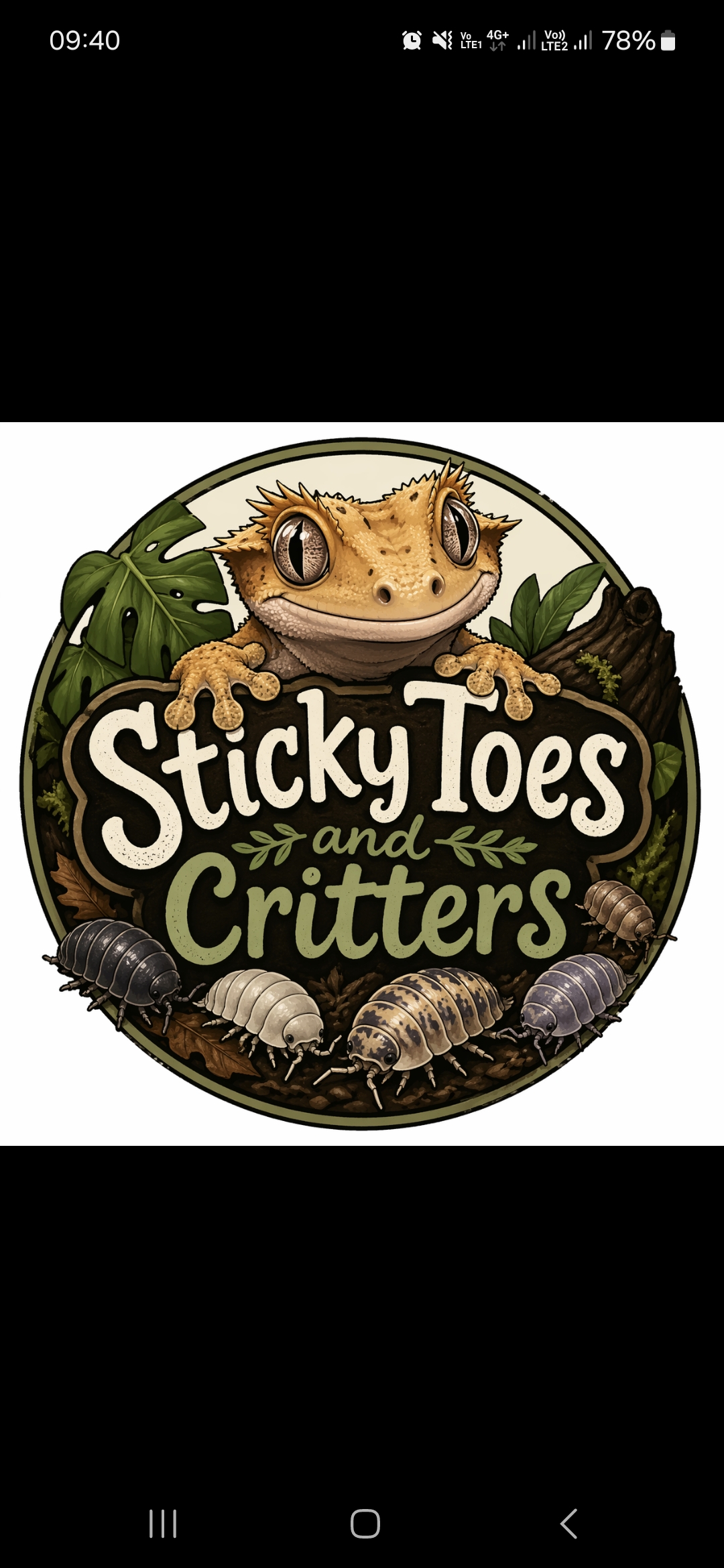 Sticky Toes and Critters logo