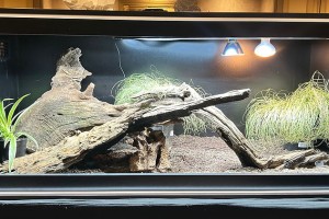 Vivarium XL 1350x60x60